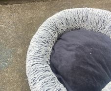 cat cushion