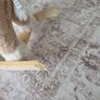 Rocking horse Image 3