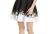 Ted Baker London Chestna Oracle Skater Dress