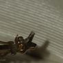 9ct Gold Anchor Bar Brooch Image 4