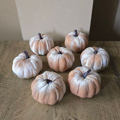Set of 7 Halloween pumpkins Beige color