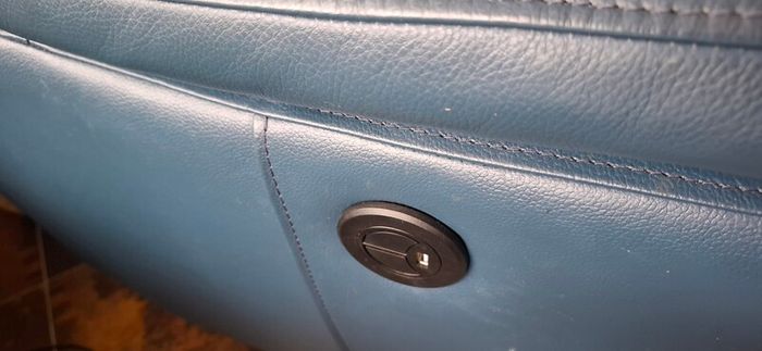 Electric Leather armhair
