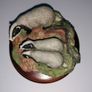 Rare Badger & Cubs (Border Fine Arts) Vintage Image 6