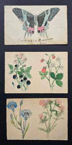 Antique botanical & butterfly postcards set