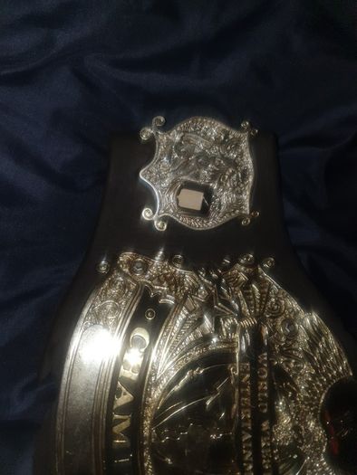 Wwe World Wrestling Entertainment Champion Belt