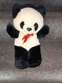 Teddy
