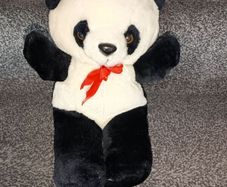 Teddy