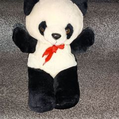 Teddy
