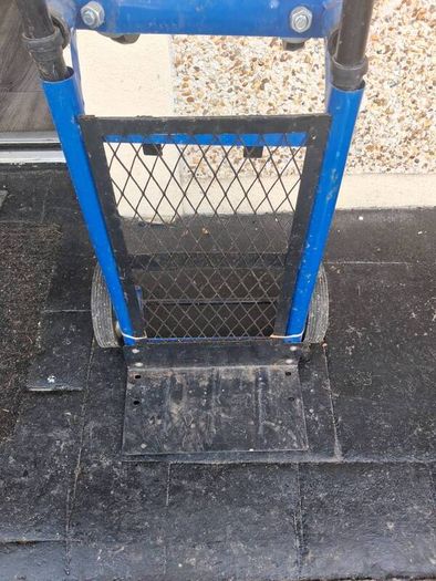 2 in 1 trolley and buggy