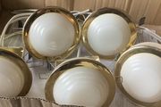 5  Downers With Bulbs