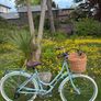 Raleigh Willow Ladies Bike Excellent Condition Size L Image 4