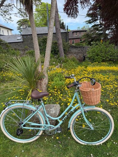 Raleigh Willow Ladies Bike Excellent Condition Size L