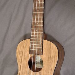 Kala KA-PWC Walnut Concert Ukulele