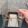 bird cage Image 3