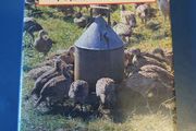 Gamekeeping - J.C. Jeremy Hobson.