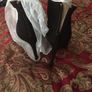 shoes Image 3