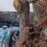 The Juliana Collection Two Leopards on a Plinth Image 3