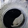Tractor Tyres Image 3