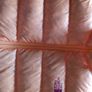North face gilet/ body warmer  pristine condition Image 3