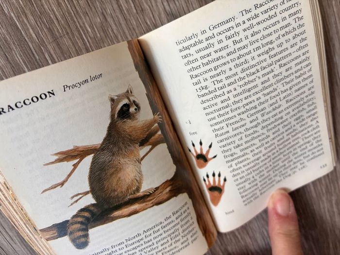 Vintage Wild Animal Reference Small Pocket Size Book
