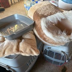Pet Travel Case x 2