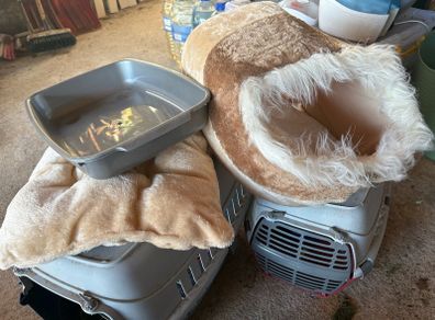 Pet Travel Case x 2