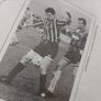 Sligo Rovers. Image 3