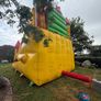 Bouncy Castle Image 6