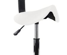 Rolling Stools with Back Support Facial Salon Kitchen Chair (White