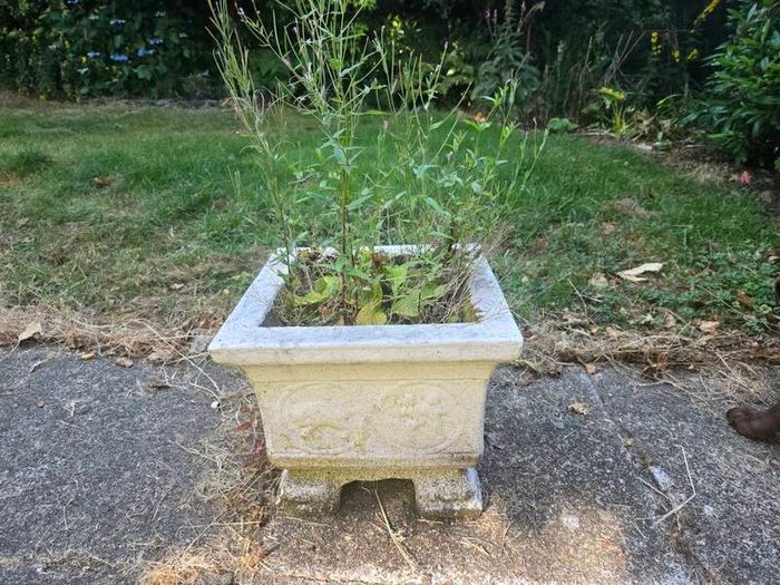 stone planters