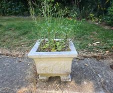 stone planters