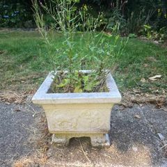 stone planters