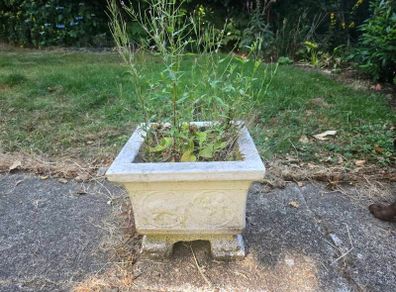 stone planters