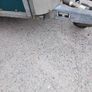 ifor Williams 505 horsebox Image 10
