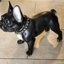 Caseys - Kare Design Black bulldog statue GANGSTER DOG Image 3