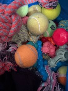 Dog toys