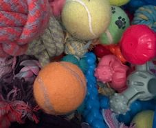 Dog toys