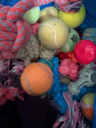 Dog toys