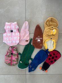 Dog clothes