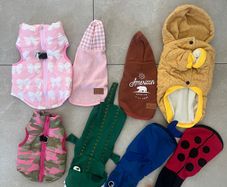 Dog clothes