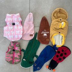 Dog clothes