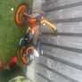 Cycle Image 3