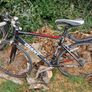 Adolescent/young teens bikes x4 Image 5