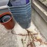 plant pots Image 2