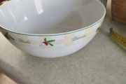 CERMIC SALAD BOWL Sucre-Sale GUY DEGRENNE Porcelaine special lave vaisselle