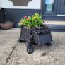 cast iron planter Image 2