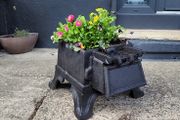 cast iron planter