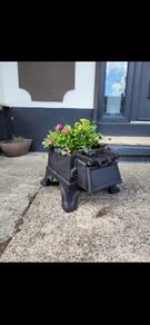 cast iron planter