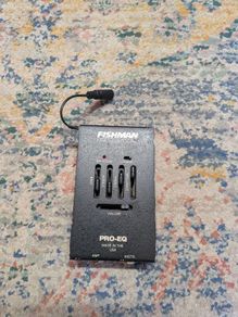 Fishman EQ