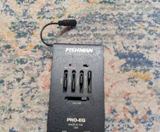 Fishman EQ